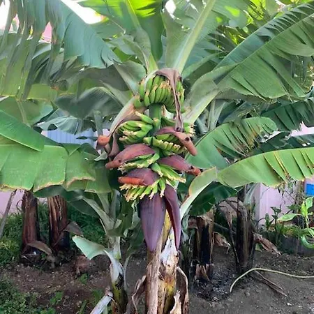 Paz Y Relax En Santa Barbara 110 Икод-де-лос-Винос