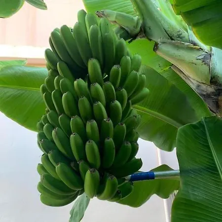 Дом отдыха Paz Y Relax En Santa Barbara 110