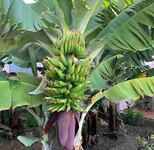 Paz Y Relax En Santa Barbara 110 *