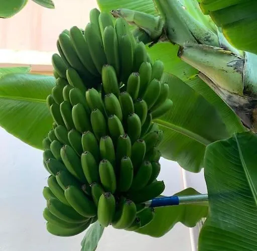 Feriehus Paz Y Relax En Santa Barbara 110